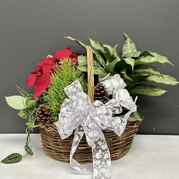 Christmas Garden, large