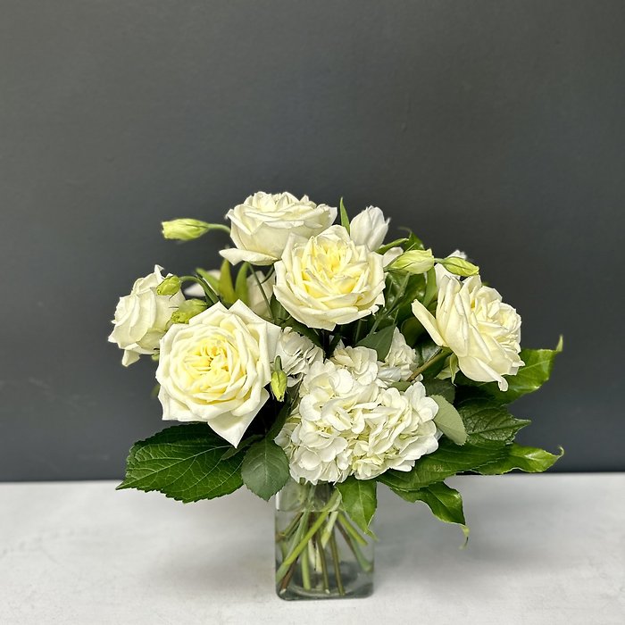 Ivory Elegance