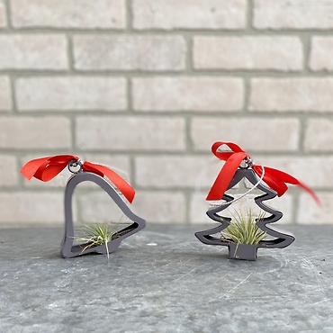 Air Plant Ornament pair