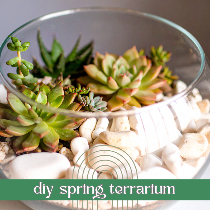 Thursday, Mar. 19, 6P KENT