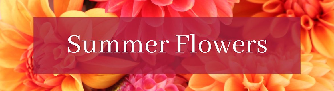 Summer Collection