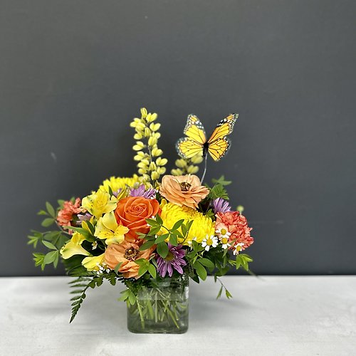 Butterfly Smiles for Summer