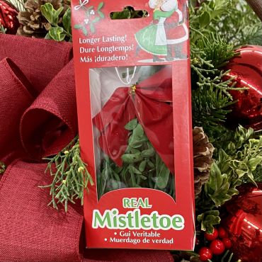 Mistletoe