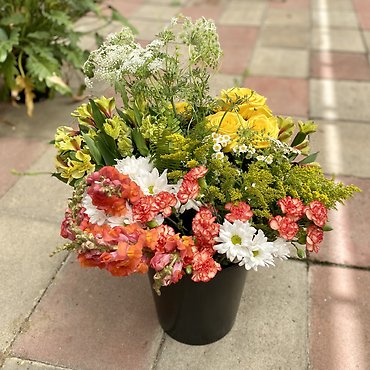 Flower Bar-- 150 stems