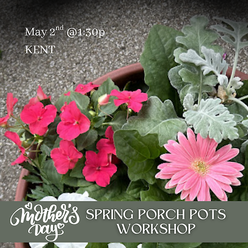 KENT, May 2nd, 1:30PM