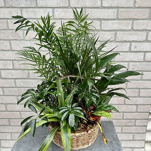 Garden of Love Planter