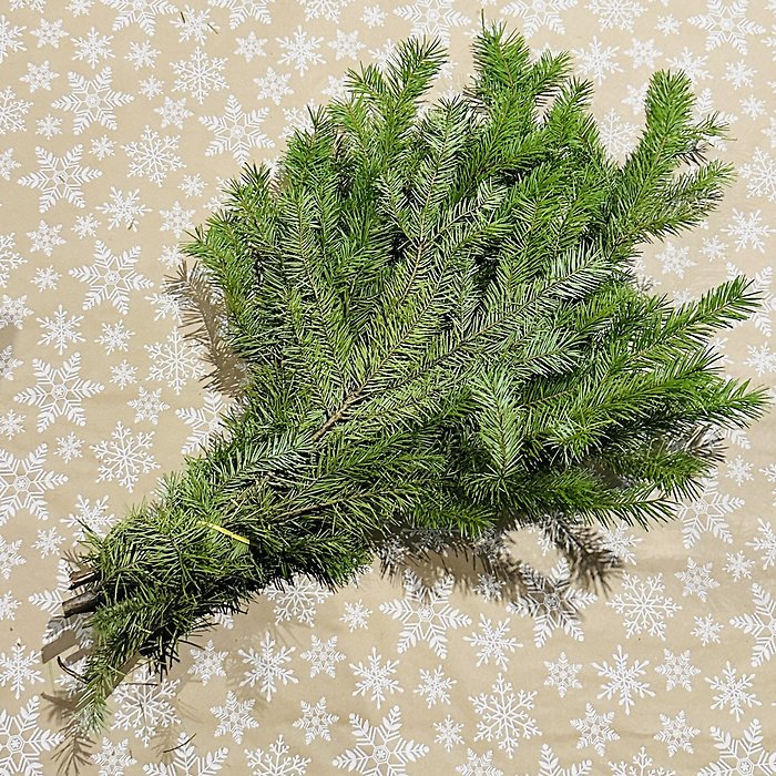Douglas Fir Boughs