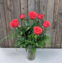 Half Dozen Rose Arrangement