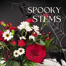 Spooky Stems: Halloween Centerpiece 10/25 1:30P Cuyahoga Falls