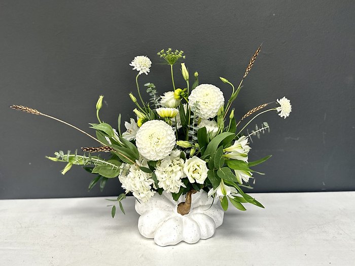 Frost on the Pumpkin