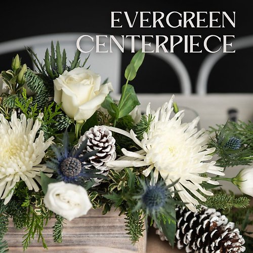 Saturday 12/13 11A Kent