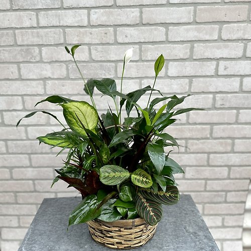 Garden of Hope Planter