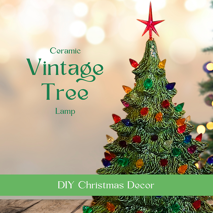 Saturday, Nov. 28th, 11AM KENT