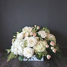 Serene and Subtle