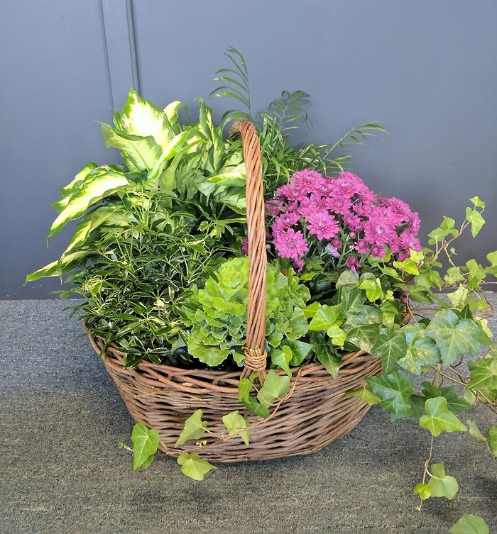 Large European Garden--Seasonal