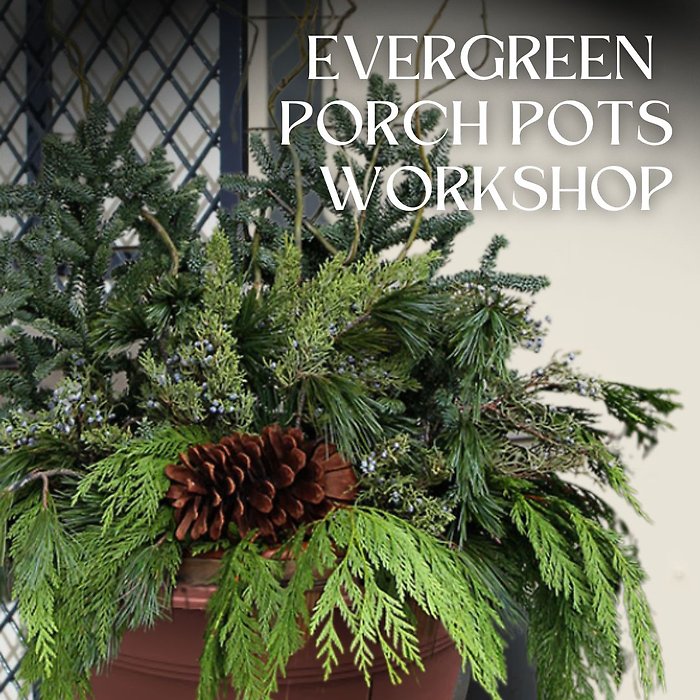 Winter Porch Pot 11/28 11am KENT