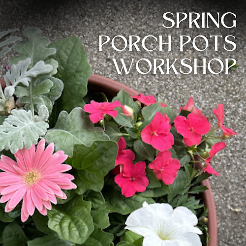 Saturday, May 2nd, 1:30PM KENT