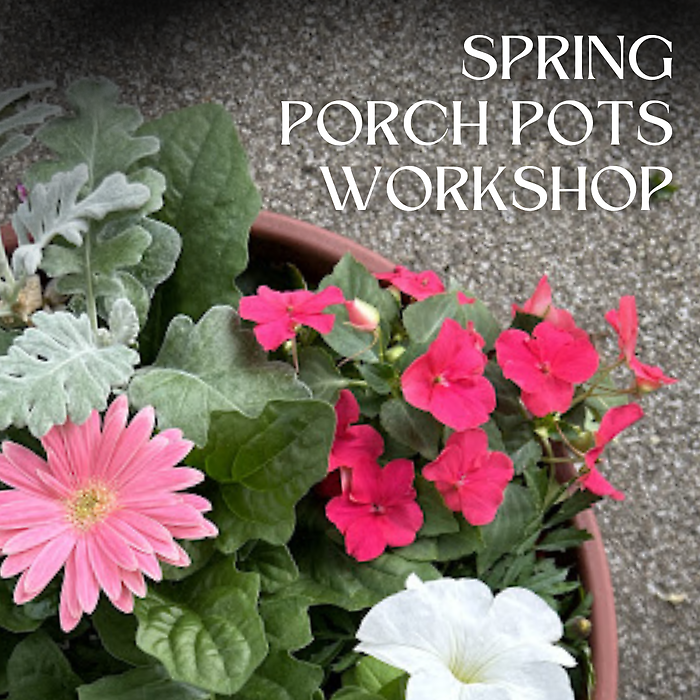 Saturday, May 2nd, 1:30PM KENT