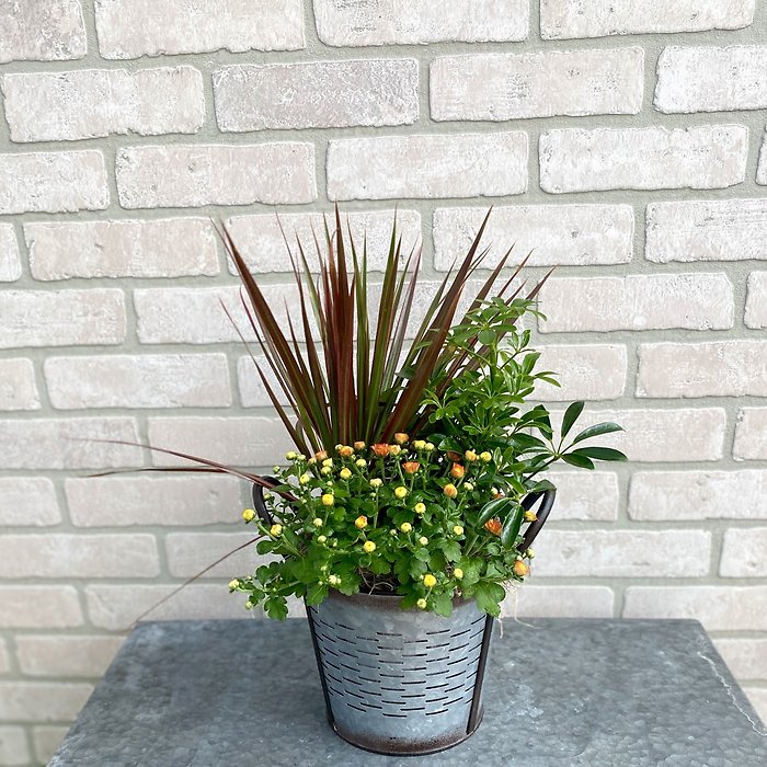 Harvest Planter Basket