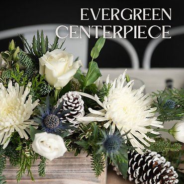 Evergreen Centerpiece 12/6 1P Cuyahoga Falls