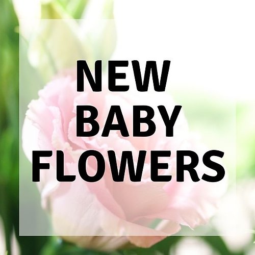 New Baby