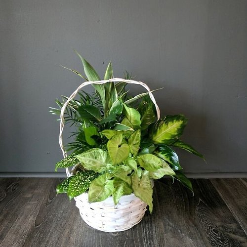 Garden of Faith Planter