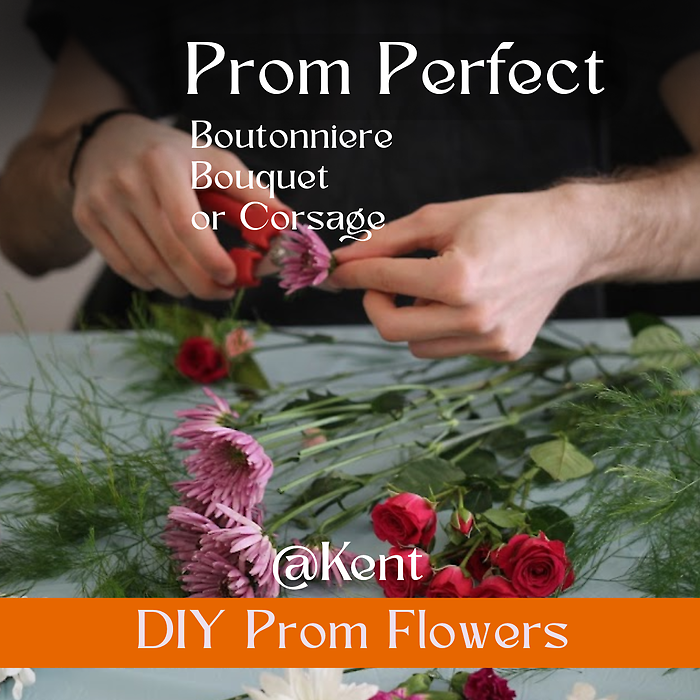 Thursday, May 14th, 6P KENT