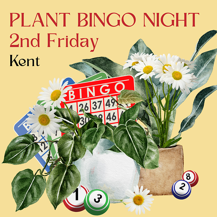 KENT May 8th, 7PM