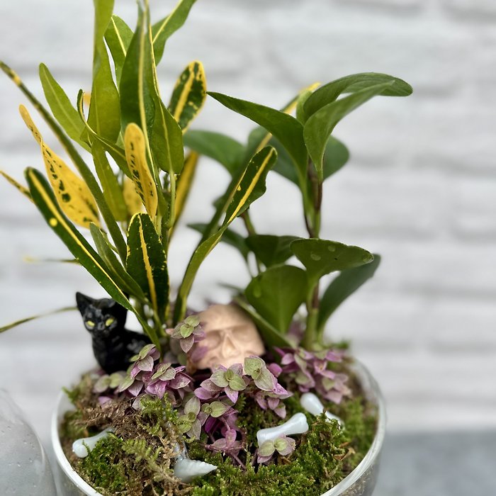 Spooky Terrarium