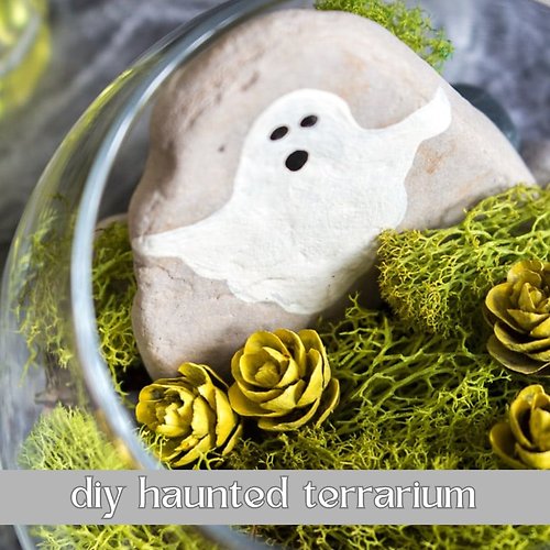 Haunted Terrarium DIY 10/25 @1P KENT