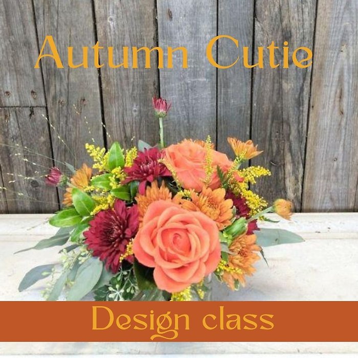 Autumn Cutie Workshop: Dietz 9/12 11am