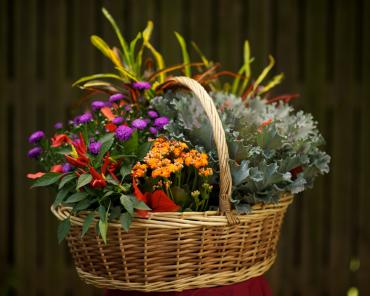 Large Autumn Garden