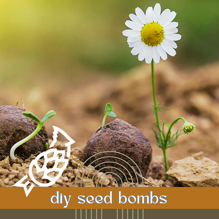 Wednesday, May 6th, 6:30P