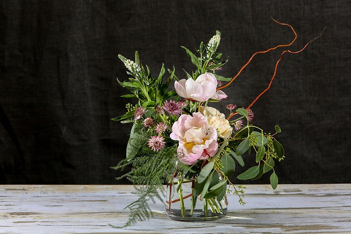 Peony and petals