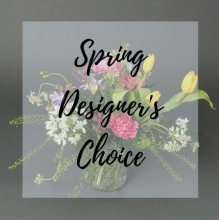 Spring Designer\'s Choice