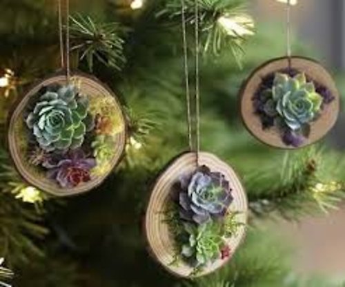Succulent Christmas Ornament