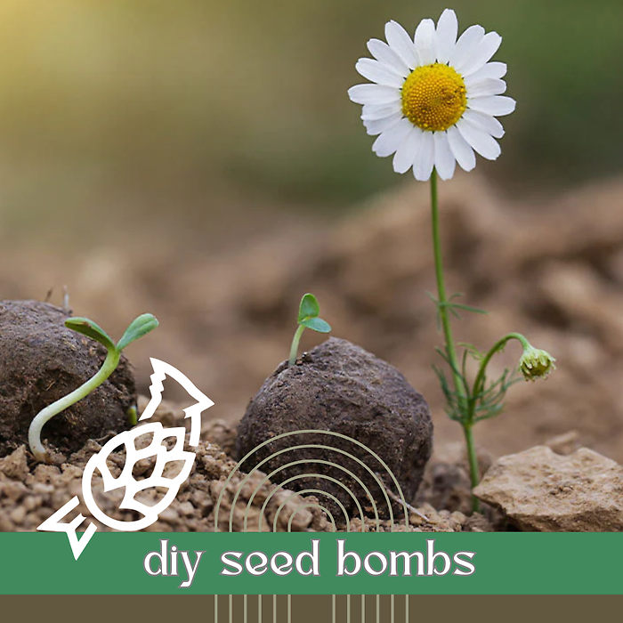 Wednesday, Apr. 22, 6:30P